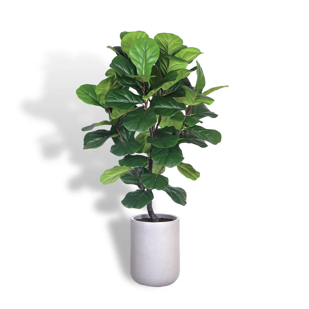 Faux Fig Tree