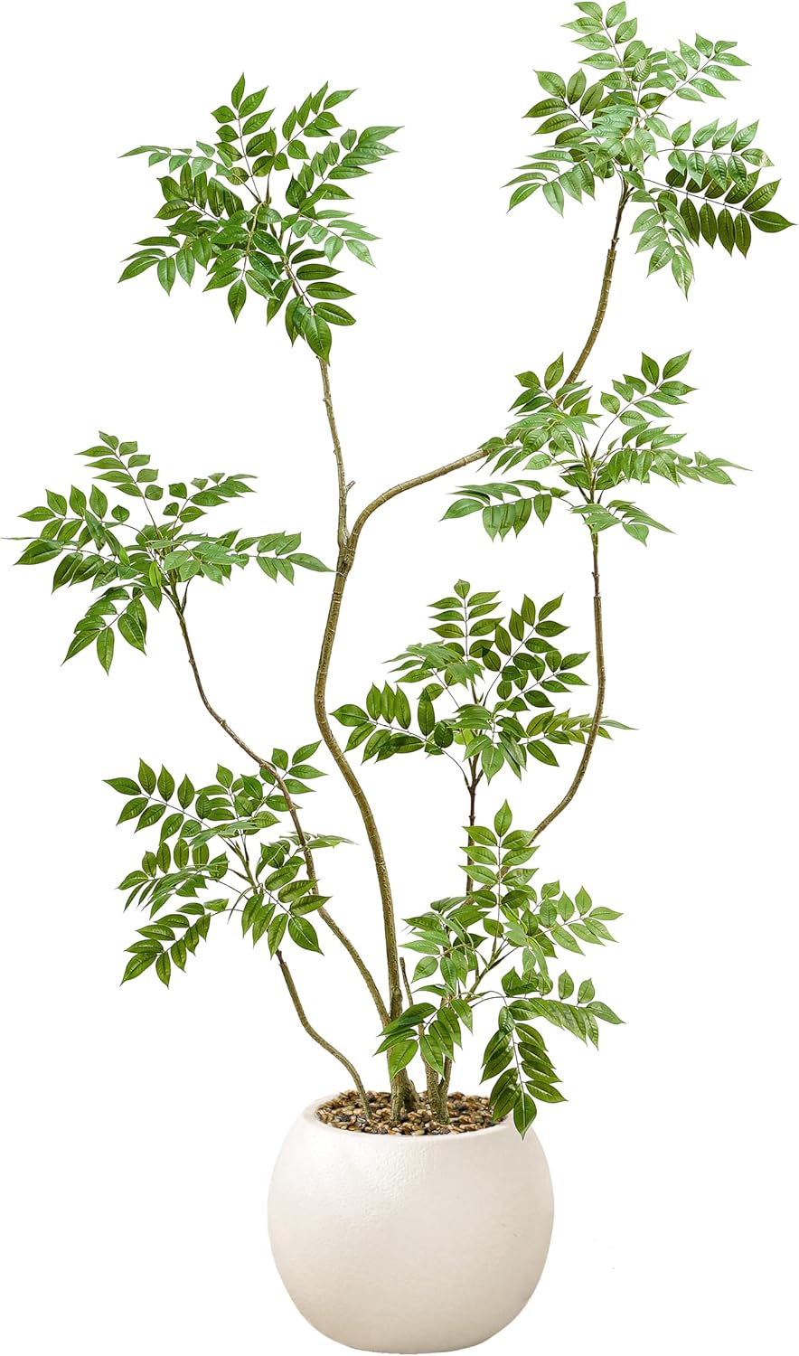 Mahonia Fortunei Faux Tree