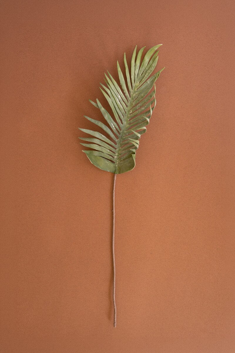 Palm Leaf