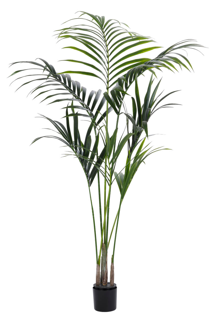 Faux Kentia Palm Tree, UV Outdoor 68"