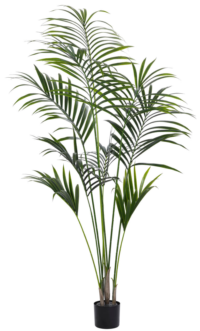 Kentia Palm Tree, UV Outdoor, Faux, 79″