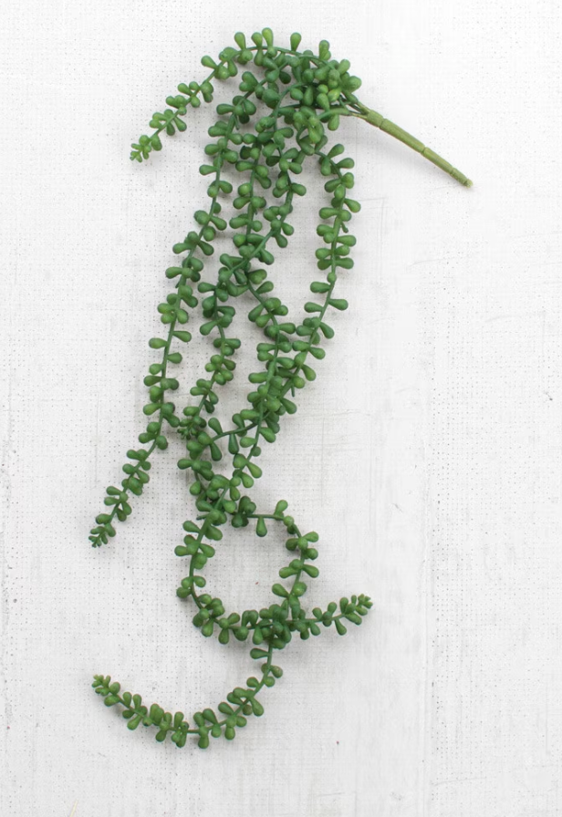 ARTIFICIAL NECKLACE FERN SUCCULENT