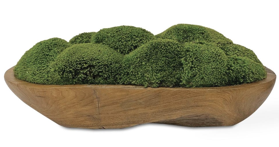Moss Centerpiece (damaged)