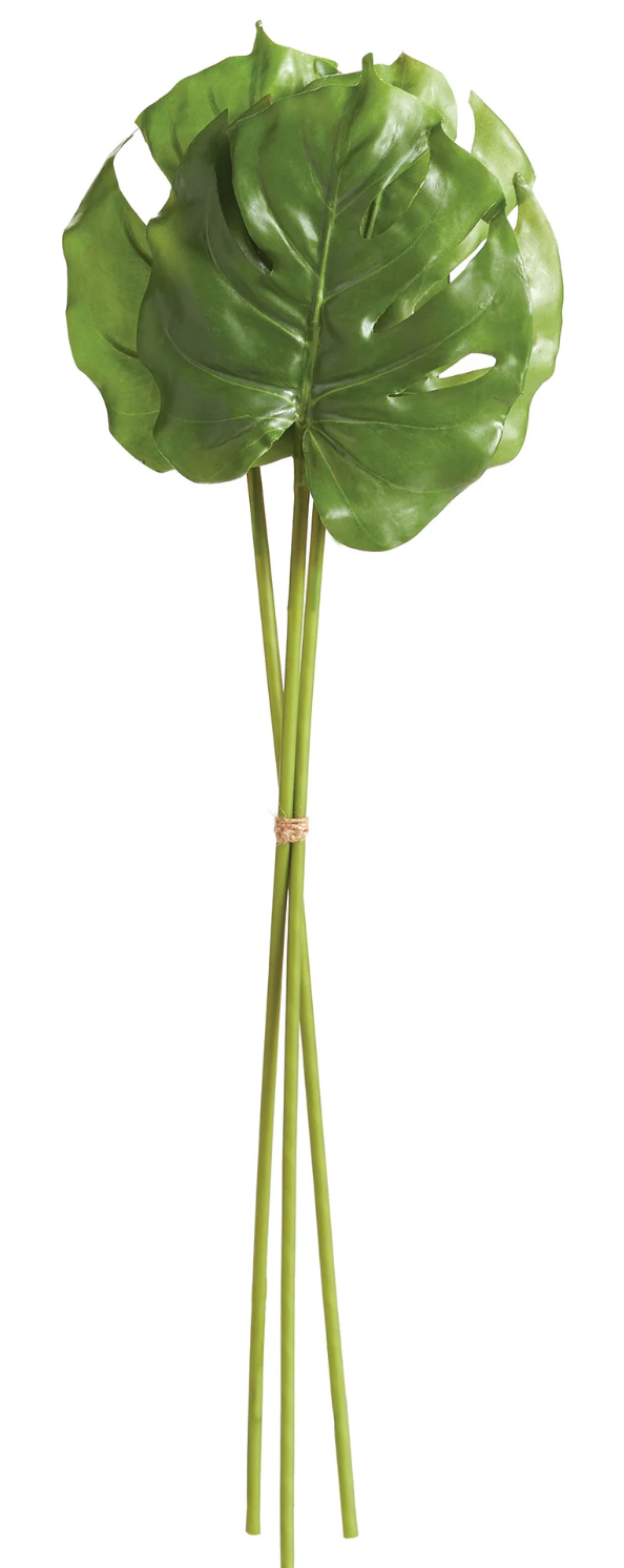 MONSTERA LEAF STEMS 25.5", BUNDLE OF 3