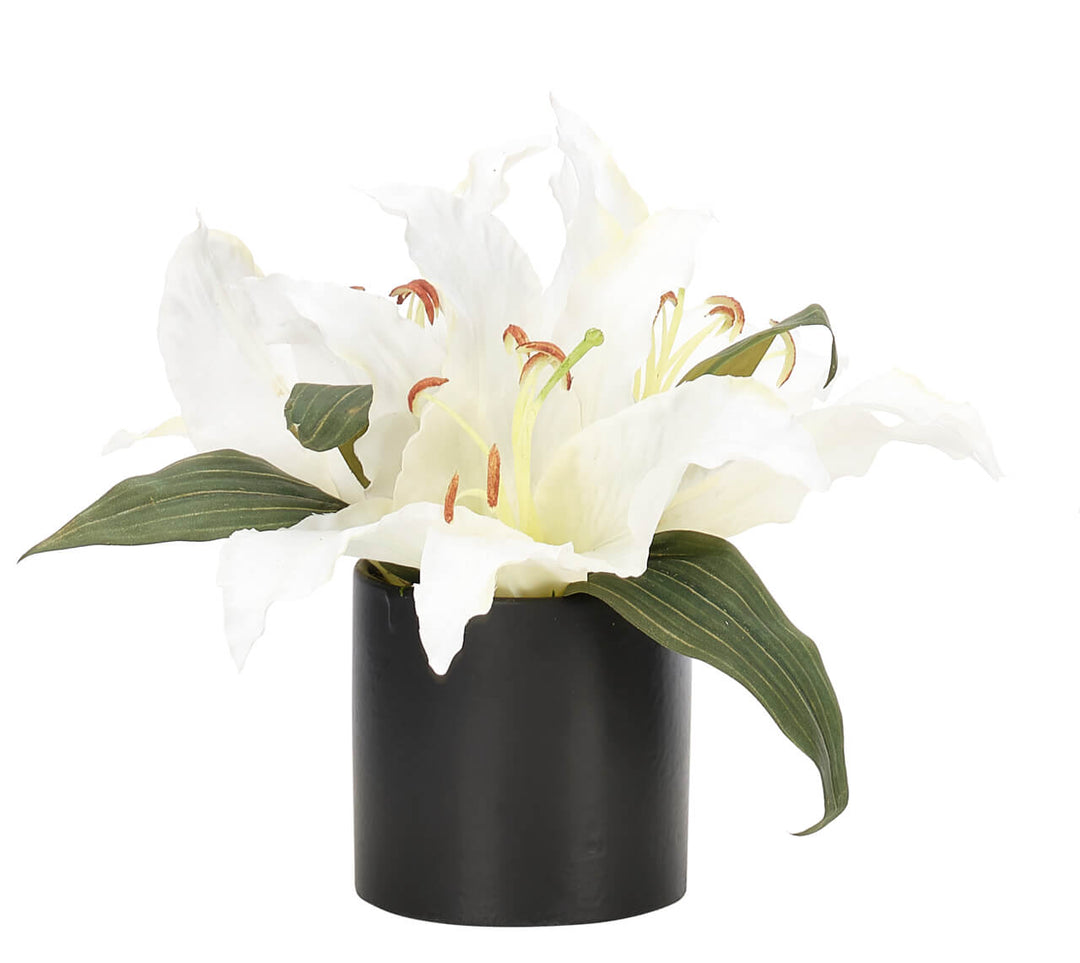 White Lily Flower Arrangement