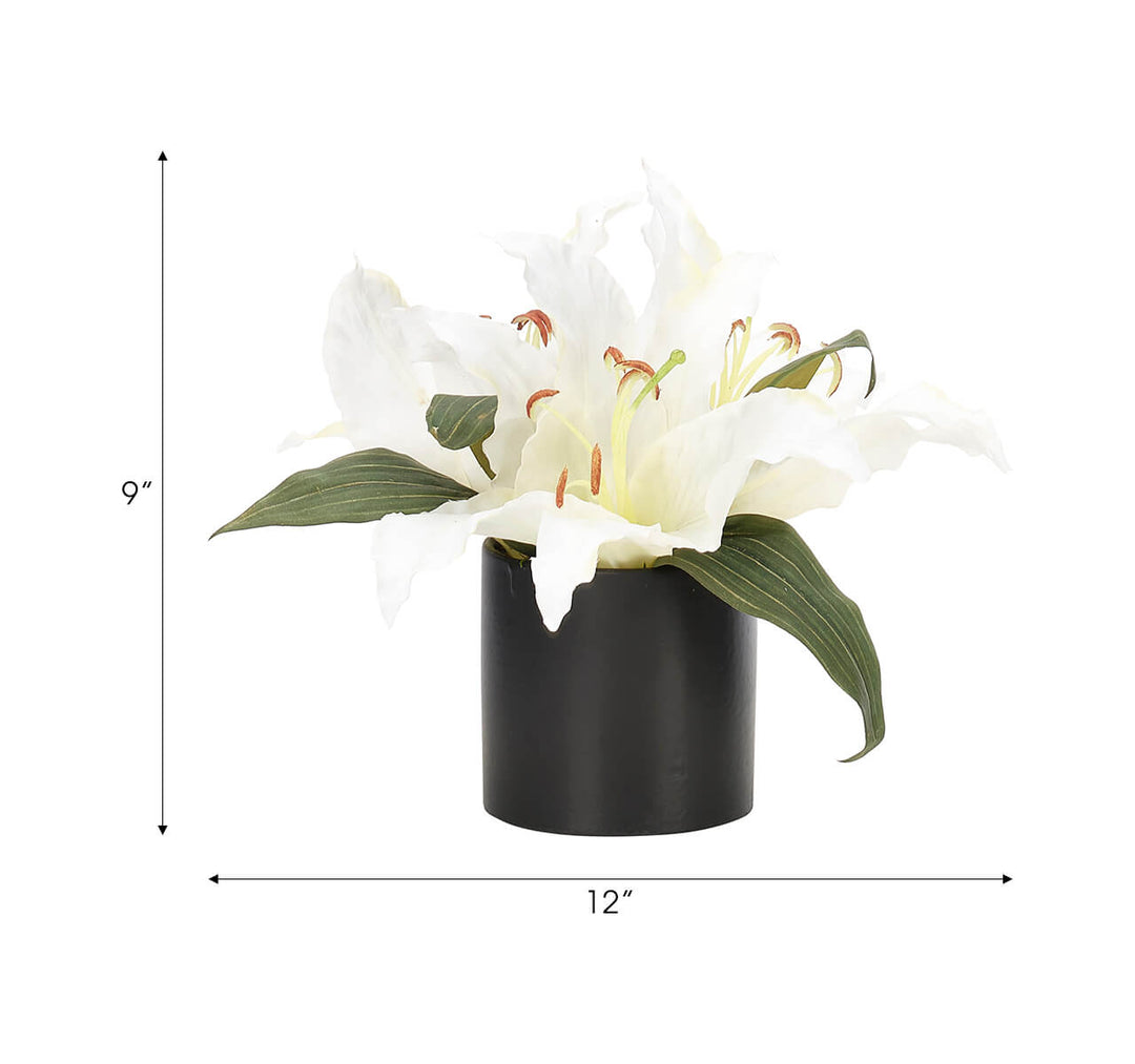 White Lily Flower Arrangement