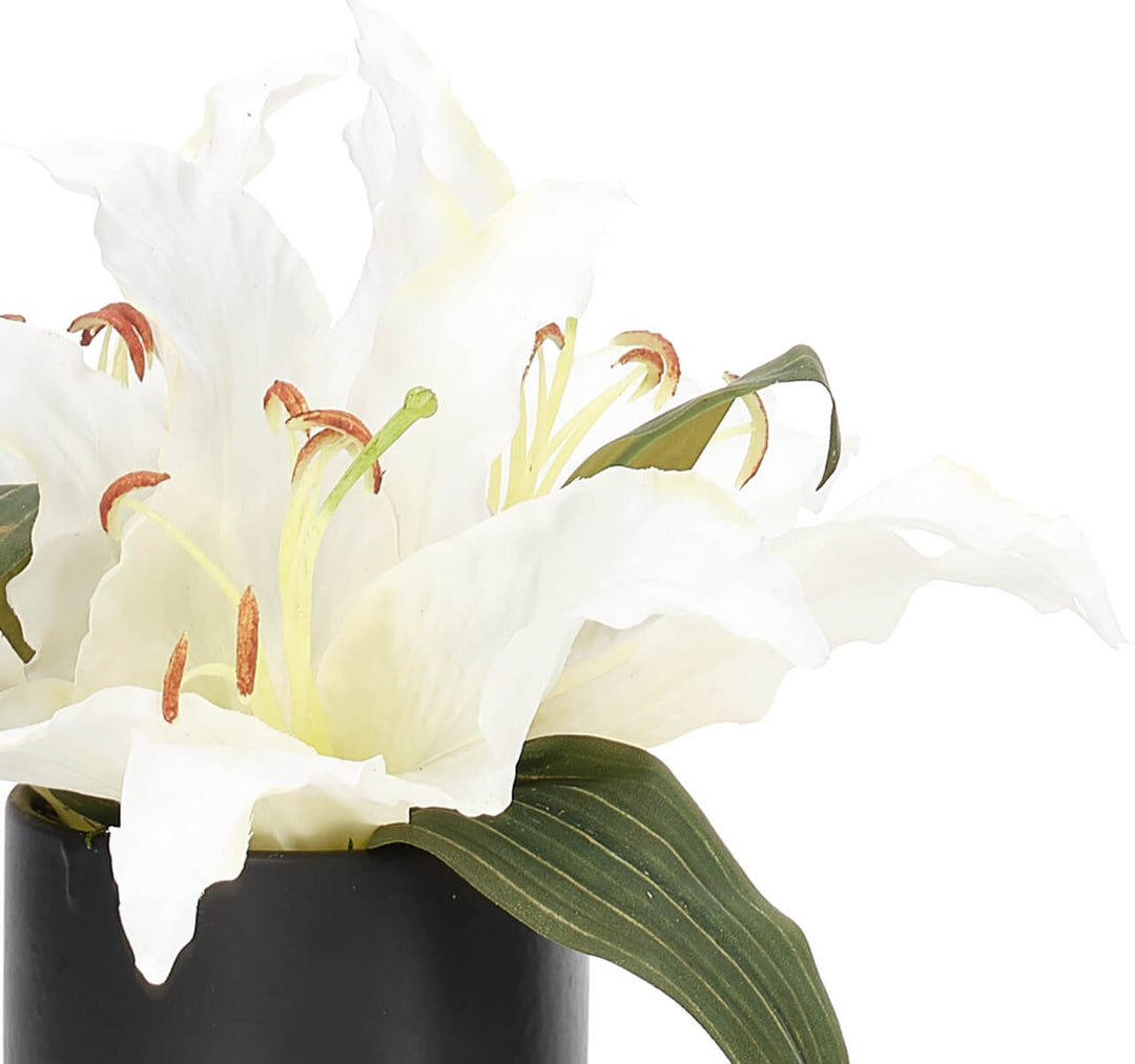 White Lily Flower Arrangement
