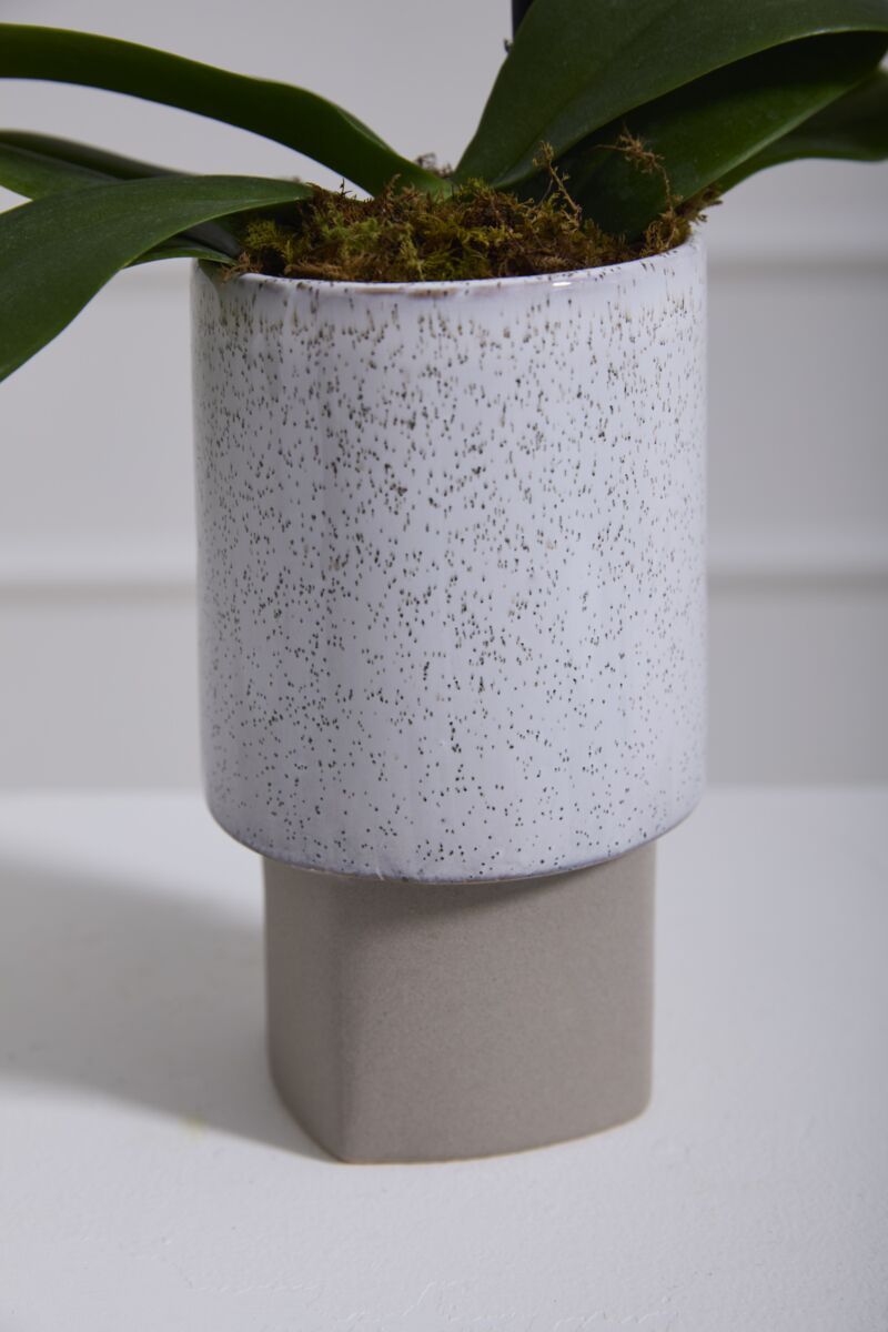 Blakely Collection Vase